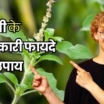 tulsi health benefits tulsi benefits