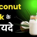 नारियल का दूध (Coconut Milk Benefits) – सेहत और स्वाद का अनोखा राज