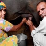 बादाम का दूध vs नारियल का दूध vs भैंस का दूध – (Almond Milk vs Coconut Milk vs Buffalo Milk)