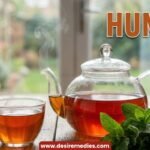 Hunza Tea Recipe in Hindi Herbal Detox Tea for Digestion & Immunity